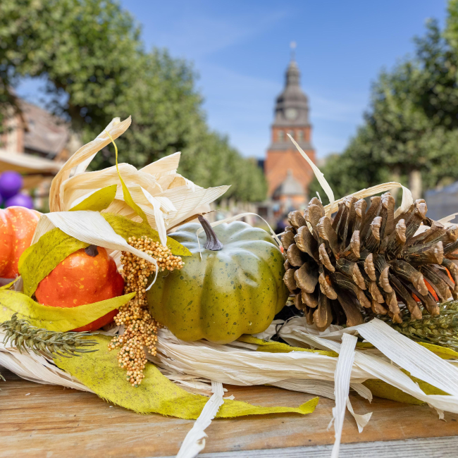 Detailaufnahme eines Obstkorbs, im Hintergrund die Stiftskirche