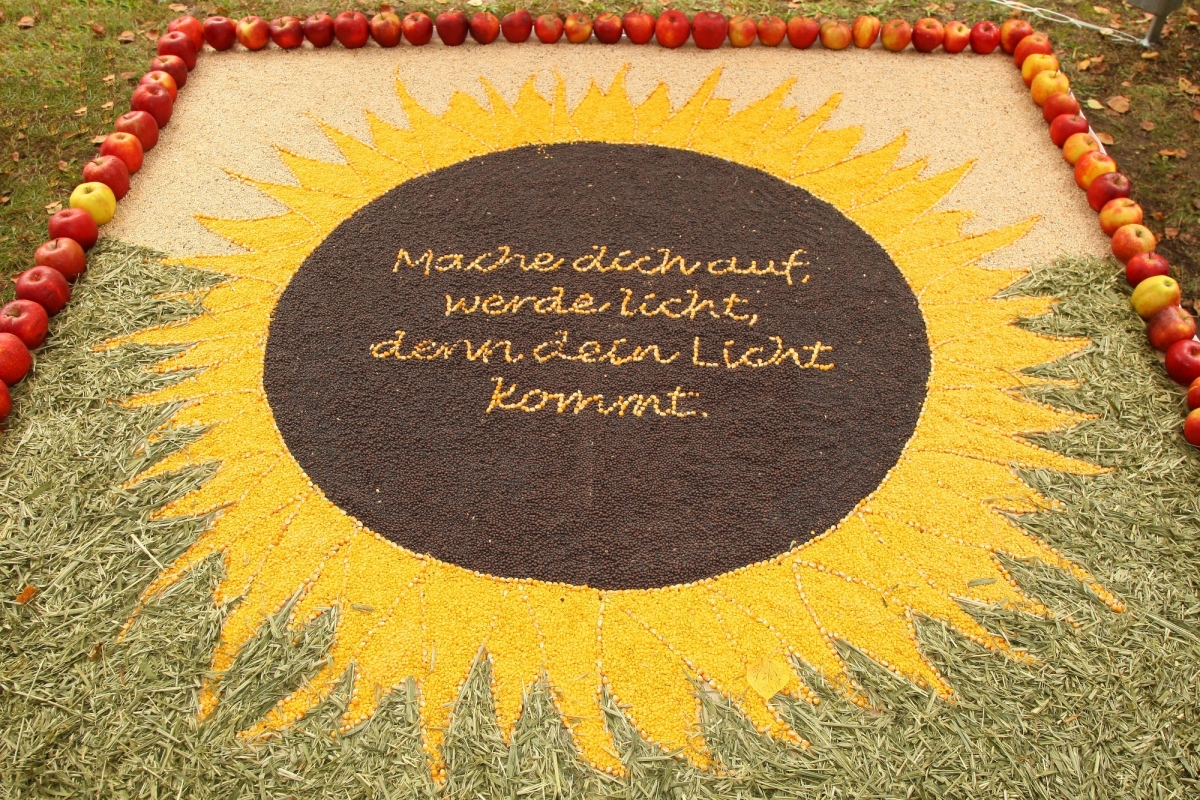 Bild einer Sonnenblume aus Getreide.