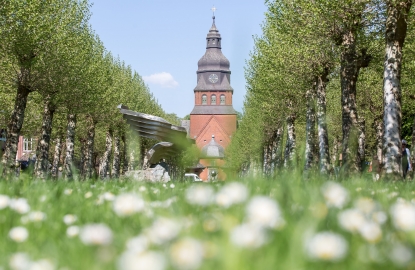 Stiftskirche im Frühling