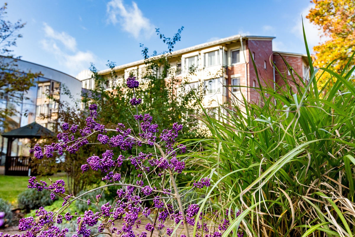 Garten Seniorenzentrums Caroline Bertheau