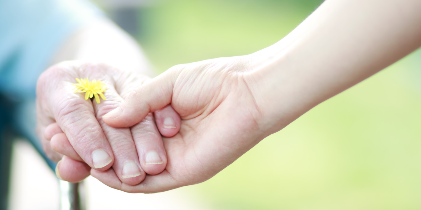 Hand einer jungen Frau hält Hand einer alten Frau