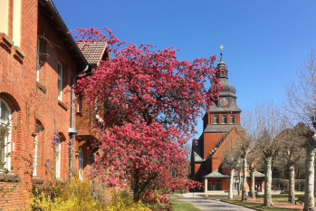 Stieftskirche mit Allee und Flieder