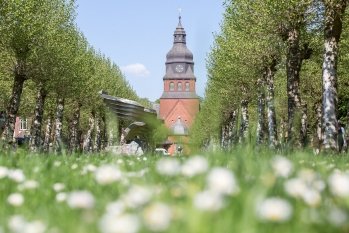 Stiftskirche im Frühling